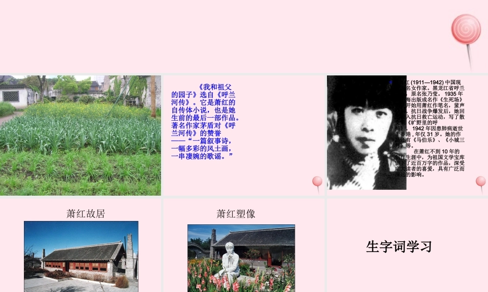 五年级语文下册 第五单元 第19课《我和祖父的园子》课件2 苏教版-苏教版小学五年级下册语文课件