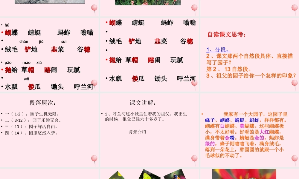 五年级语文下册 第五单元 第19课《我和祖父的园子》课件2 苏教版-苏教版小学五年级下册语文课件