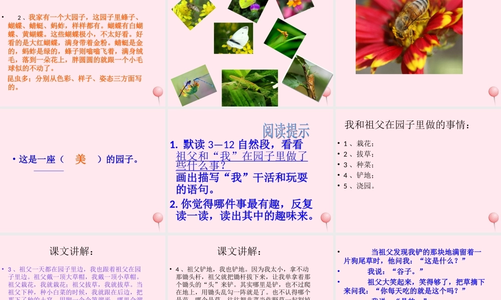 五年级语文下册 第五单元 第19课《我和祖父的园子》课件2 苏教版-苏教版小学五年级下册语文课件