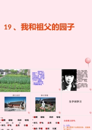 五年级语文下册 第五单元 第19课《我和祖父的园子》课件2 苏教版-苏教版小学五年级下册语文课件