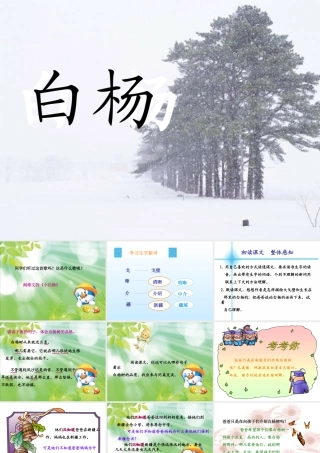 五年级语文下册 第一组 3 白杨课件 新人教版-新人教版小学五年级下册语文课件