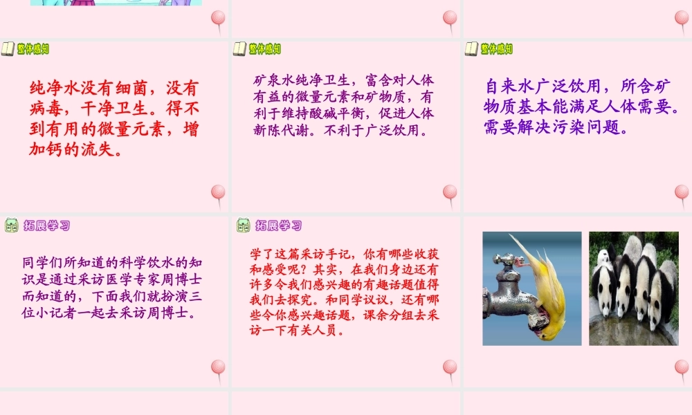 五年级语文下册 第五单元 第20课《采访周博士手记》课件 西师大版-西师大版小学五年级下册语文课件