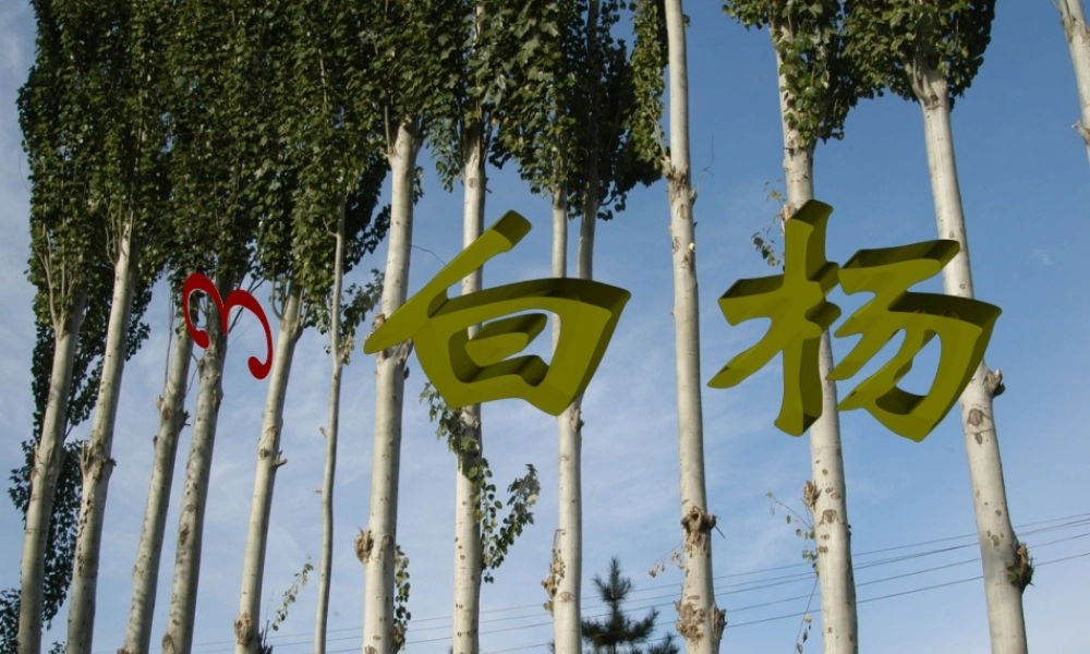 五年级语文下册 第一组 3 白杨课件1 新人教版-新人教版小学五年级下册语文课件