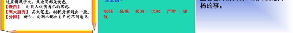 五年级语文下册 第一组 3 白杨课件1 新人教版-新人教版小学五年级下册语文课件