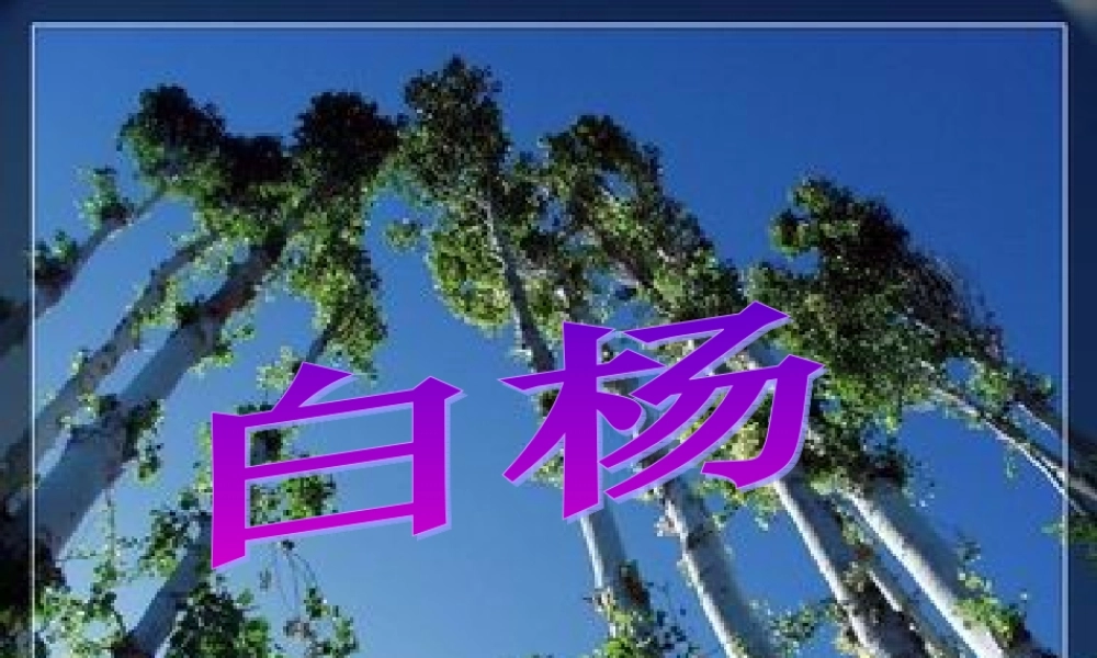 五年级语文下册 第一组 3 白杨课件2 新人教版-新人教版小学五年级下册语文课件
