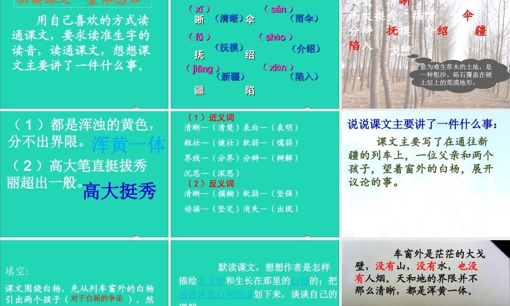 五年级语文下册 第一组 3 白杨课件2 新人教版-新人教版小学五年级下册语文课件
