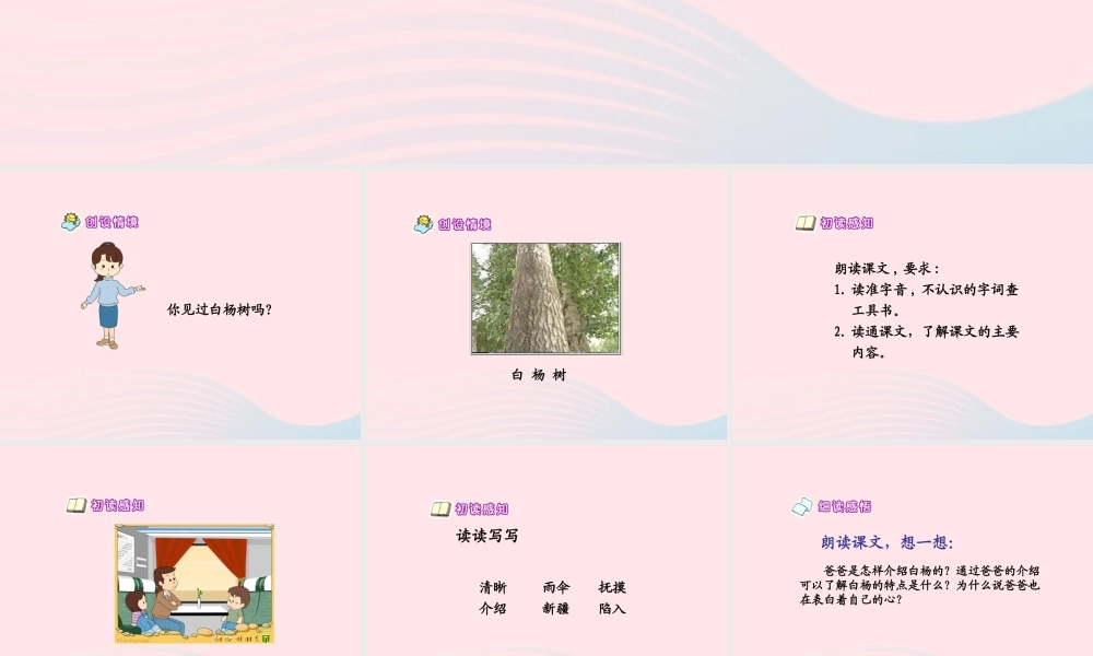 五年级语文下册 第一组 3 白杨课件3 新人教版-新人教版小学五年级下册语文课件