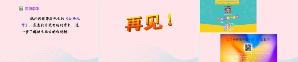 五年级语文下册 第一组 3 白杨课件3 新人教版-新人教版小学五年级下册语文课件