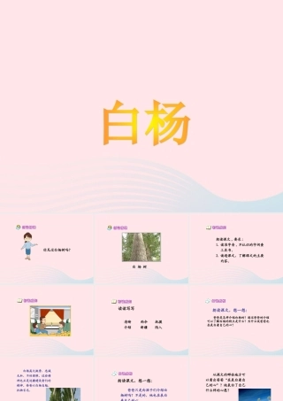 五年级语文下册 第一组 3 白杨课件3 新人教版-新人教版小学五年级下册语文课件
