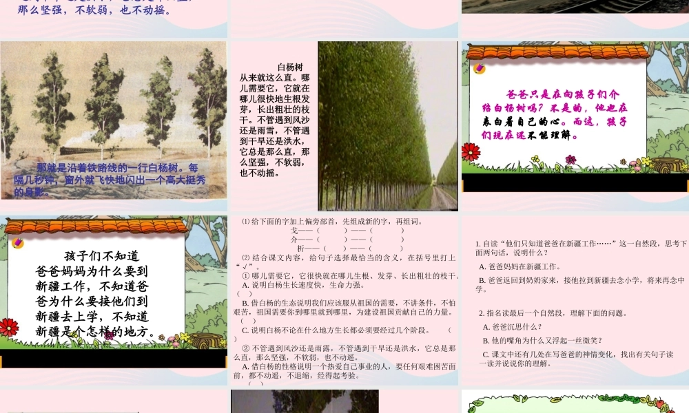 五年级语文下册 第一组 3 白杨课件4 新人教版-新人教版小学五年级下册语文课件