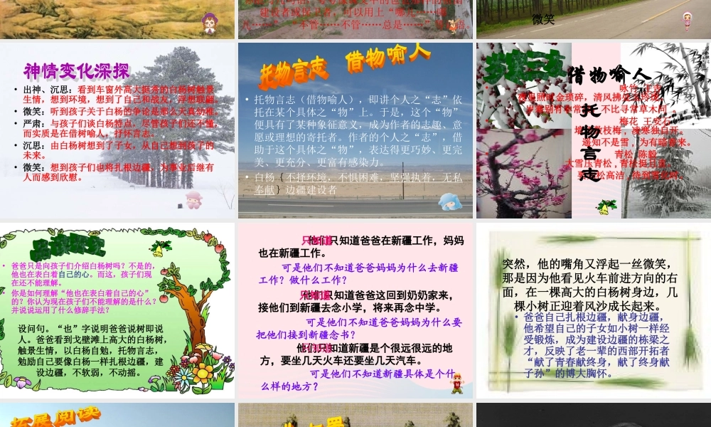 五年级语文下册 第一组 3 白杨课件5 新人教版-新人教版小学五年级下册语文课件