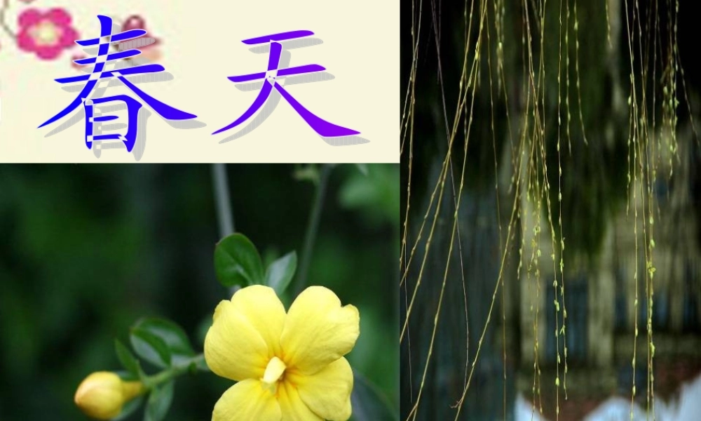 五年级语文下册 习作一《写一种自然现象》课件1 苏教版-苏教版小学五年级下册语文课件