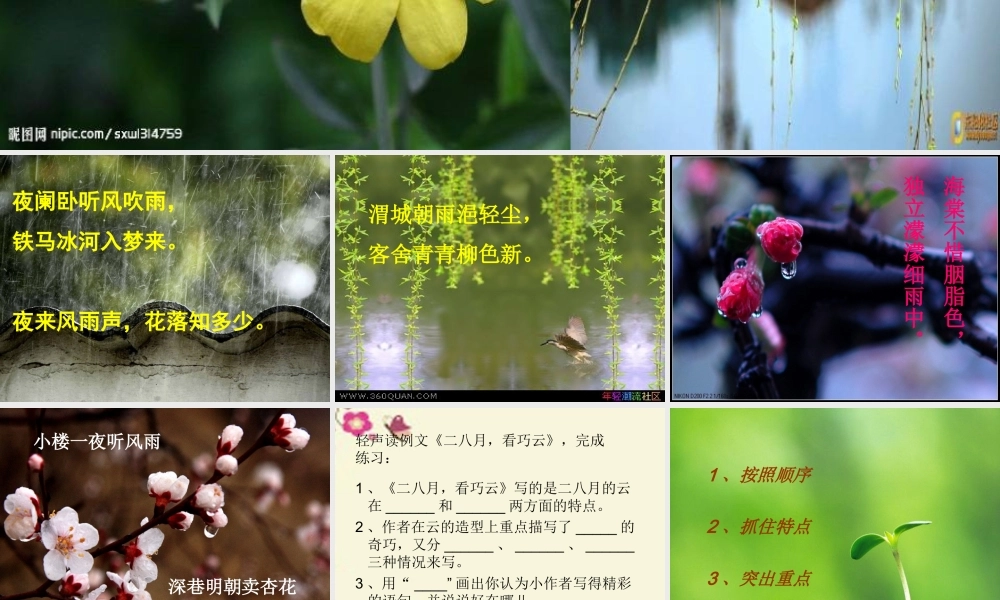 五年级语文下册 习作一《写一种自然现象》课件1 苏教版-苏教版小学五年级下册语文课件