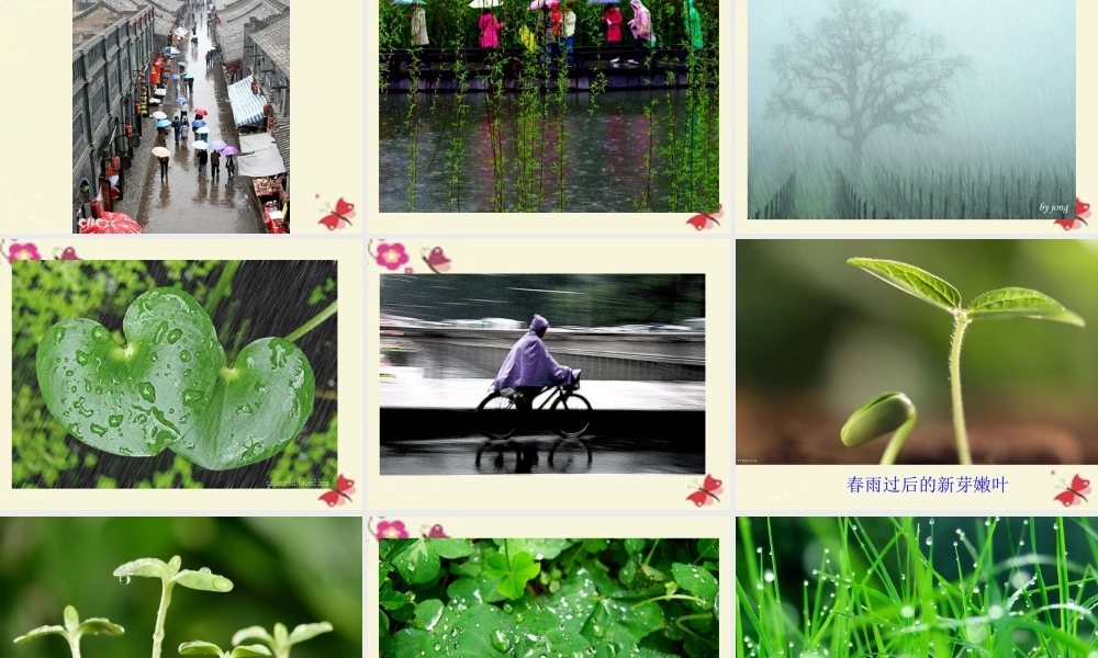 五年级语文下册 习作一《写一种自然现象》课件1 苏教版-苏教版小学五年级下册语文课件