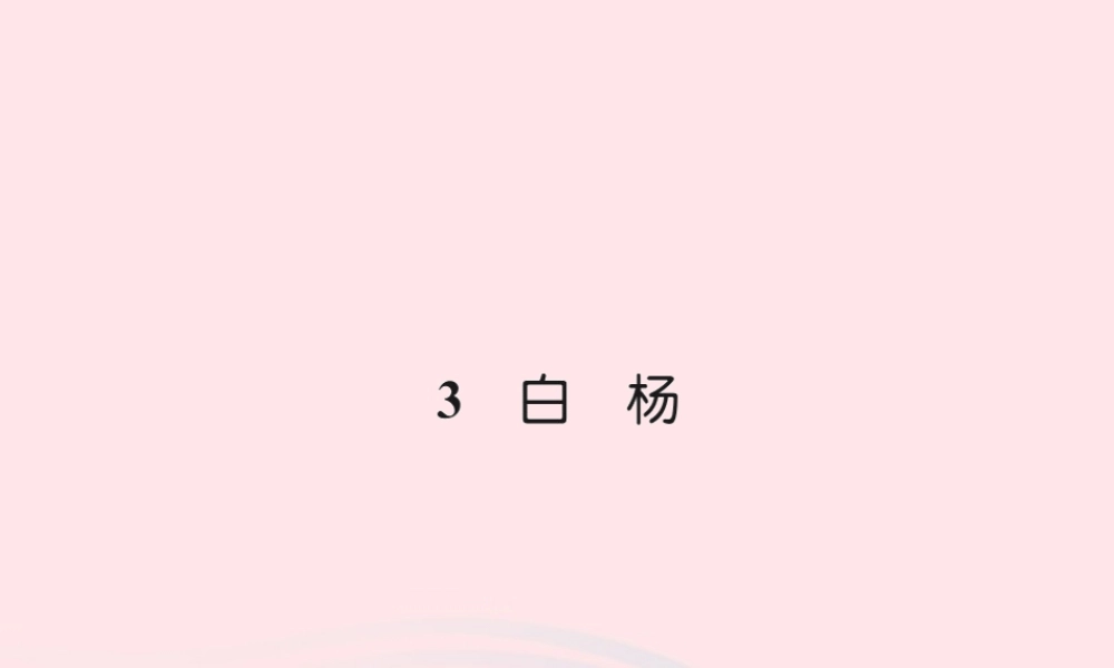 五年级语文下册 第一组 3 白杨习题课件 新人教版-新人教版小学五年级下册语文课件