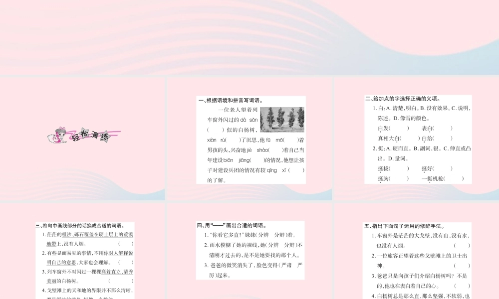 五年级语文下册 第一组 3 白杨习题课件 新人教版-新人教版小学五年级下册语文课件