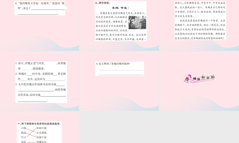 五年级语文下册 第一组 3 白杨习题课件 新人教版-新人教版小学五年级下册语文课件