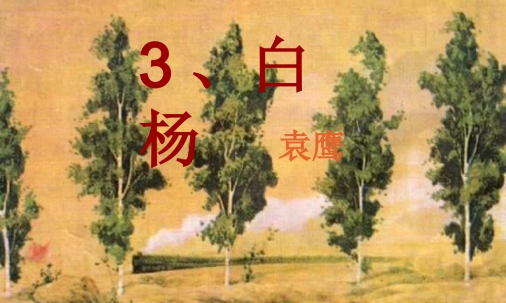 五年级语文下册 第一组 3《白杨》课件 新人教版-新人教版小学五年级下册语文课件