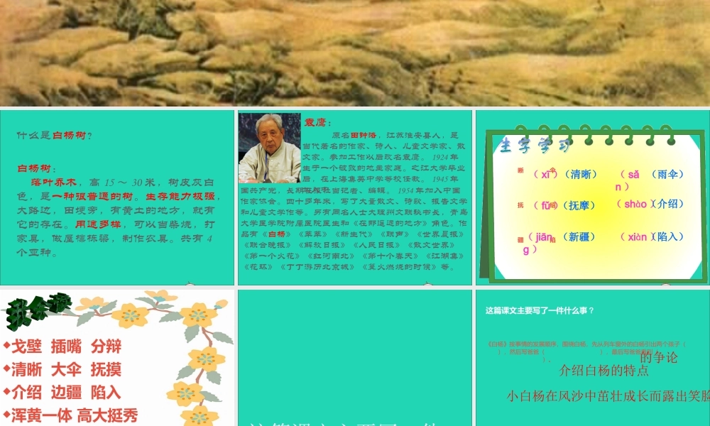 五年级语文下册 第一组 3《白杨》课件 新人教版-新人教版小学五年级下册语文课件