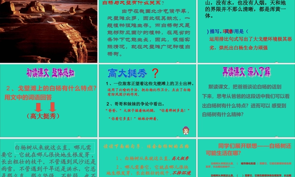 五年级语文下册 第一组 3《白杨》课件 新人教版-新人教版小学五年级下册语文课件