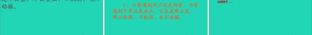 五年级语文下册 第一组 3《白杨》课件 新人教版-新人教版小学五年级下册语文课件