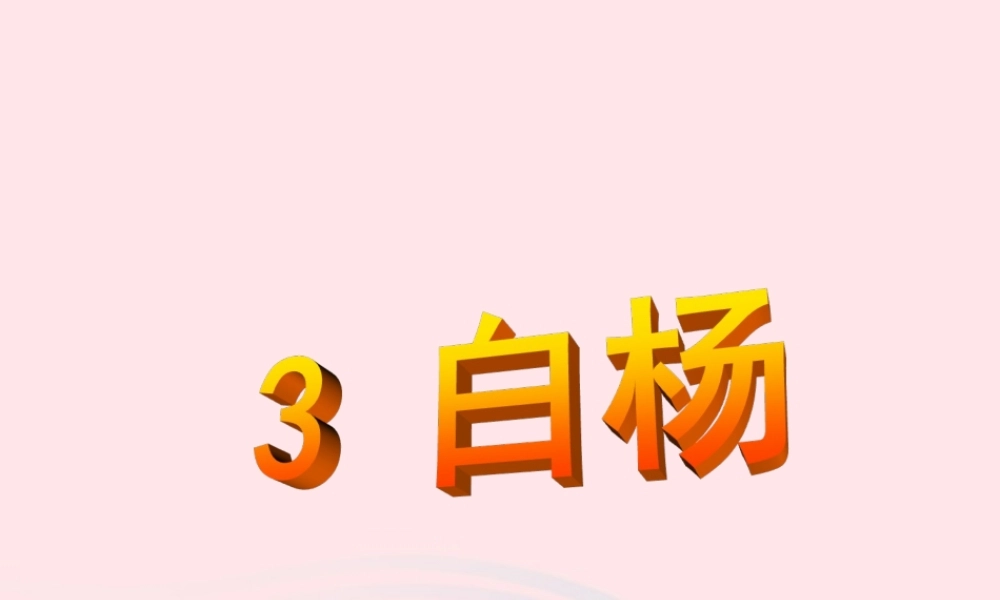 五年级语文下册 第一组 3《白杨》课堂教学课件1 新人教版-新人教版小学五年级下册语文课件