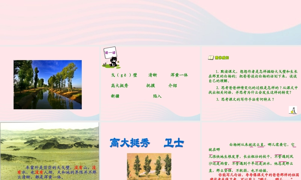 五年级语文下册 第一组 3《白杨》课堂教学课件1 新人教版-新人教版小学五年级下册语文课件