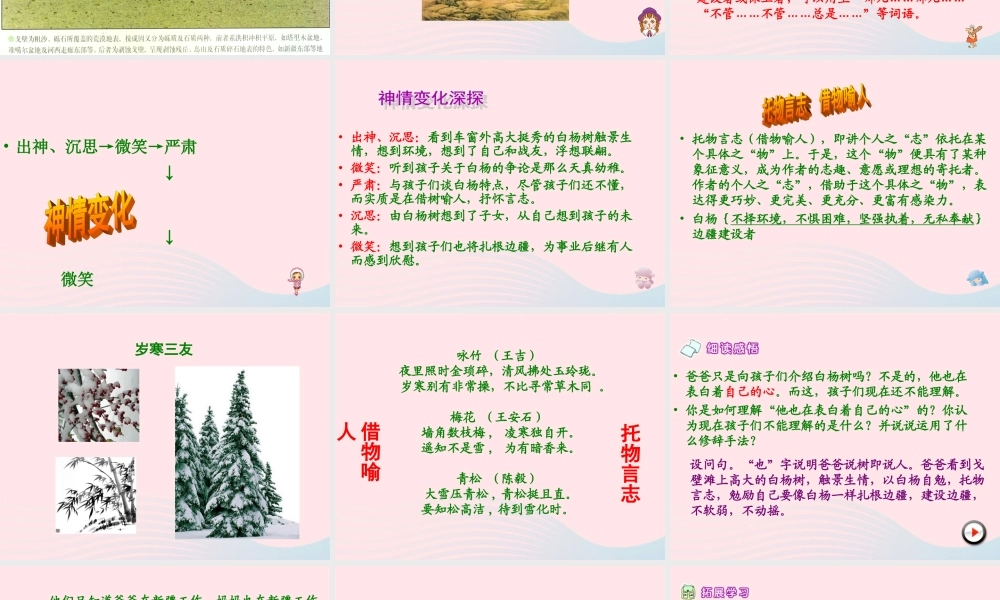 五年级语文下册 第一组 3《白杨》课堂教学课件1 新人教版-新人教版小学五年级下册语文课件