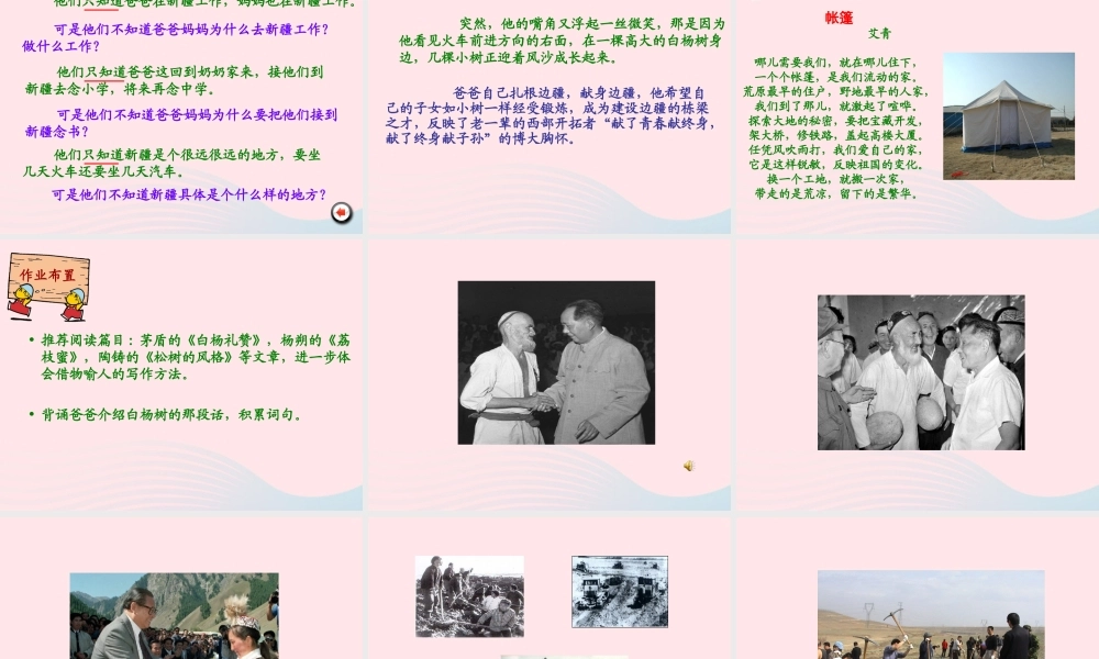 五年级语文下册 第一组 3《白杨》课堂教学课件1 新人教版-新人教版小学五年级下册语文课件