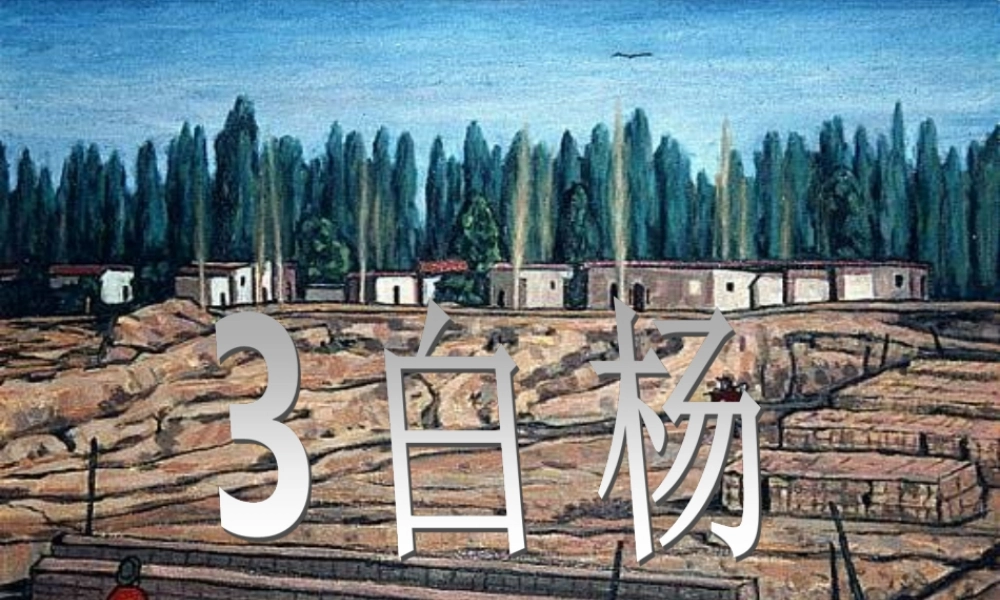 五年级语文下册 第一组 3《白杨》课堂教学课件2 新人教版-新人教版小学五年级下册语文课件