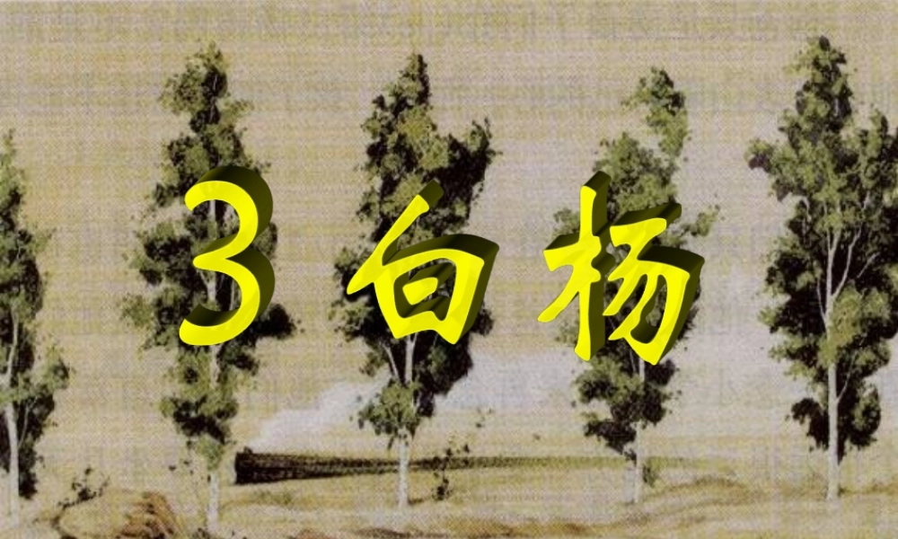五年级语文下册 第一组 3《白杨》课堂教学课件3 新人教版-新人教版小学五年级下册语文课件