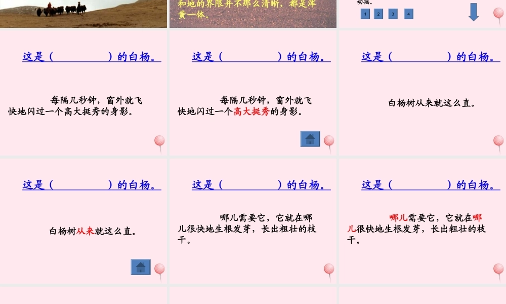 五年级语文下册 第一组 3《白杨》课堂教学课件3 新人教版-新人教版小学五年级下册语文课件