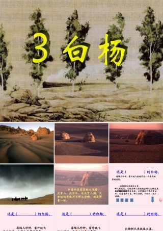 五年级语文下册 第一组 3《白杨》课堂教学课件3 新人教版-新人教版小学五年级下册语文课件
