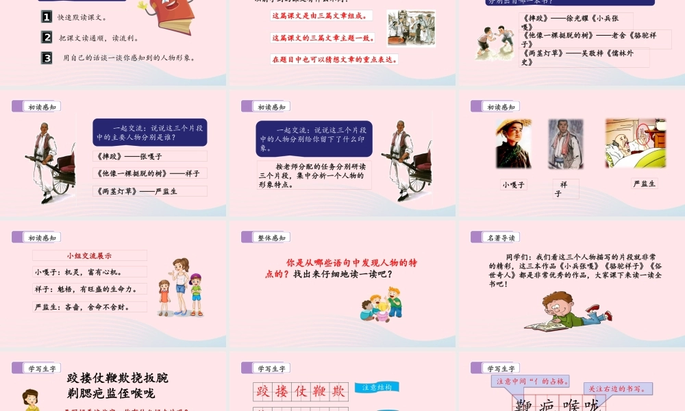 五年级语文下册 第五单元 13 人物描写一组教学课件 新人教版-新人教版小学五年级下册语文课件