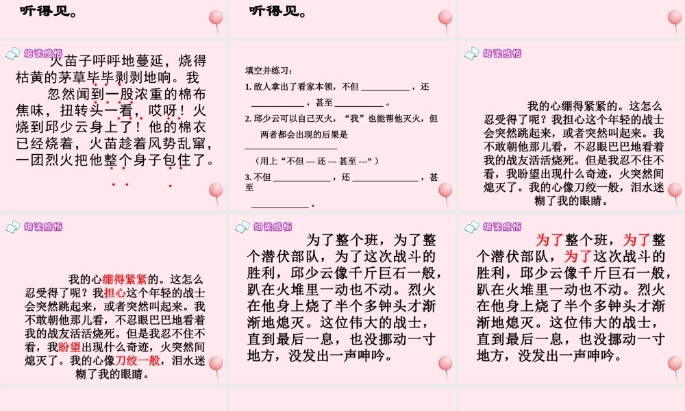 五年级语文上册 第四单元 19《我的战友邱少云》同步优质课件 冀教版-冀教版小学五年级上册语文课件