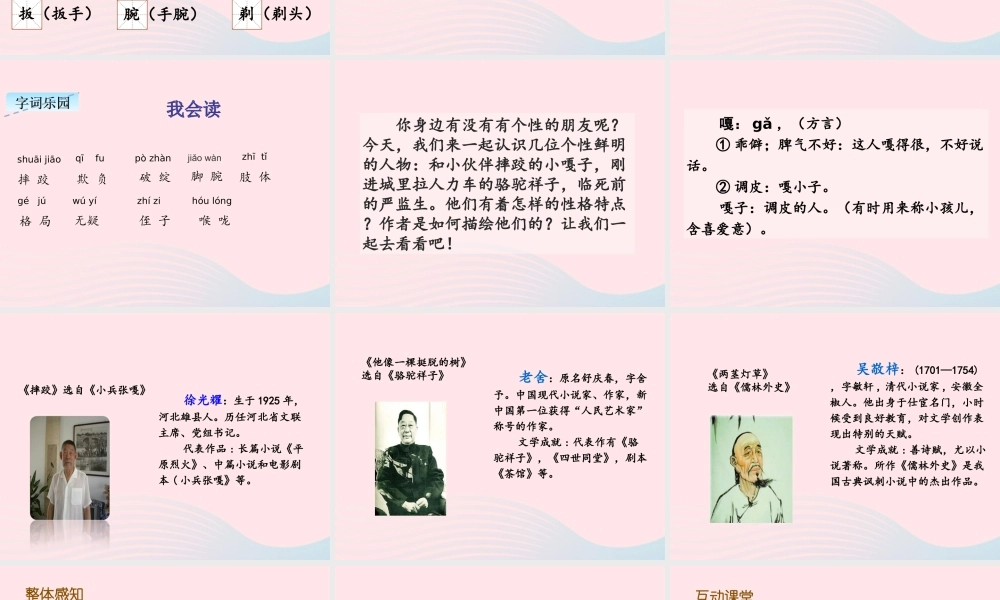 五年级语文下册 第五单元 13《人物描写一组》课件 新人教版-新人教版小学五年级下册语文课件