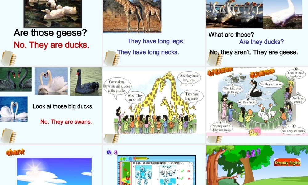 人教新版小学英语四年级下册课件Lesson32