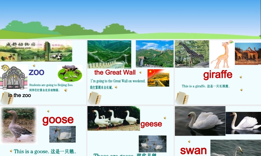 人教新版小学英语四年级下册课件Lesson33