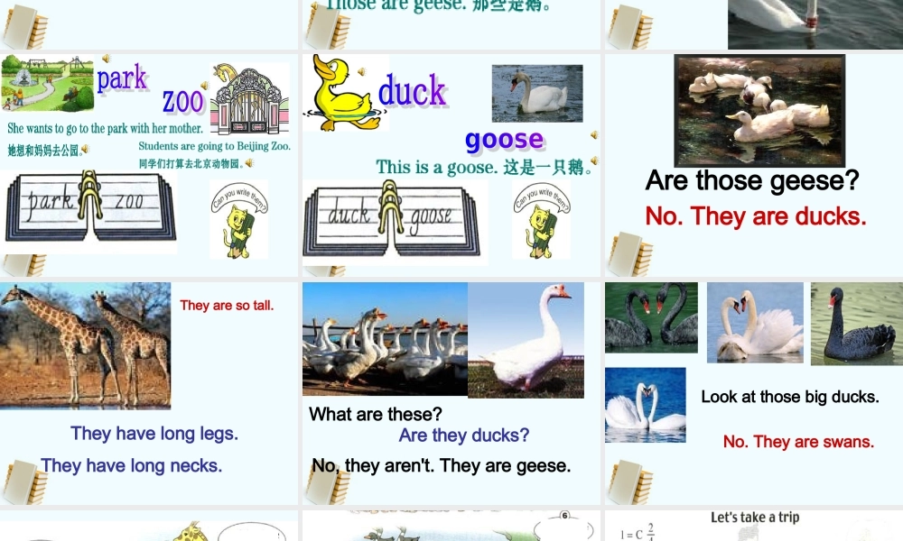 人教新版小学英语四年级下册课件Lesson33