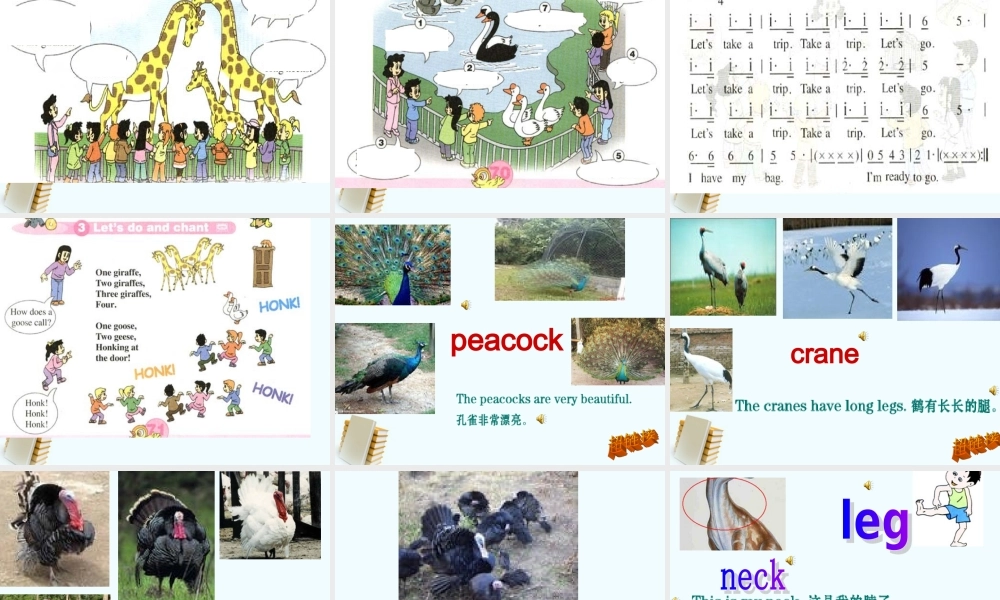 人教新版小学英语四年级下册课件Lesson33