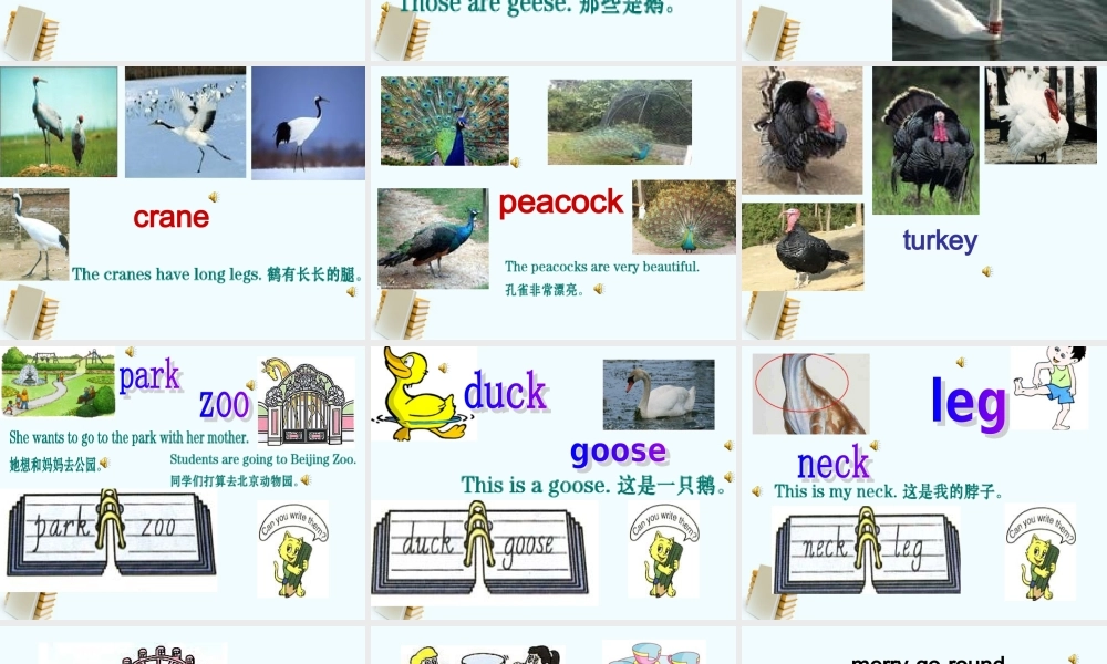 人教新版小学英语四年级下册课件Lesson34