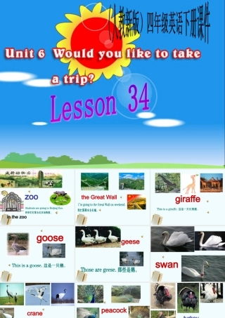 人教新版小学英语四年级下册课件Lesson34