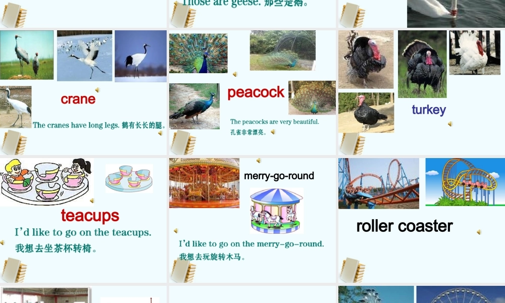 人教新版小学英语四年级下册课件Lesson35