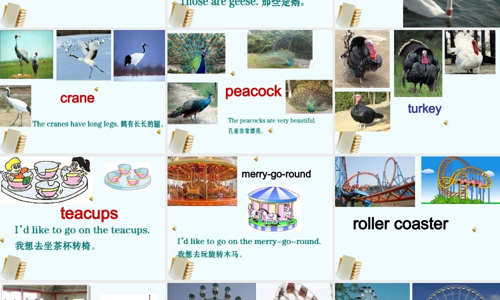 人教新版小学英语四年级下册课件Lesson36