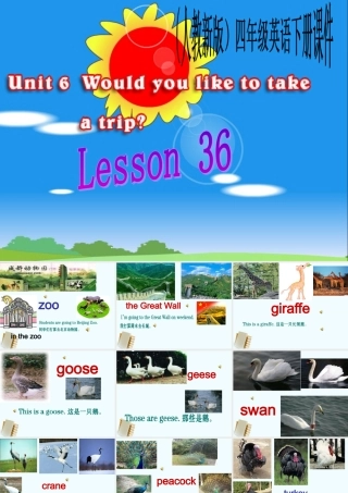 人教新版小学英语四年级下册课件Lesson36