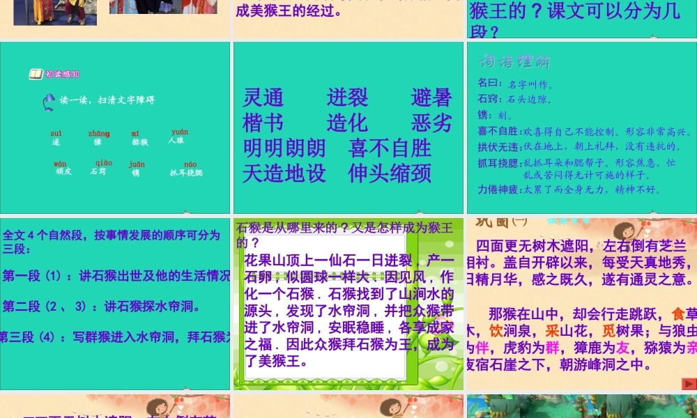 五年级语文下册 第五组 21《猴王出世》课件 新人教版-新人教版小学五年级下册语文课件