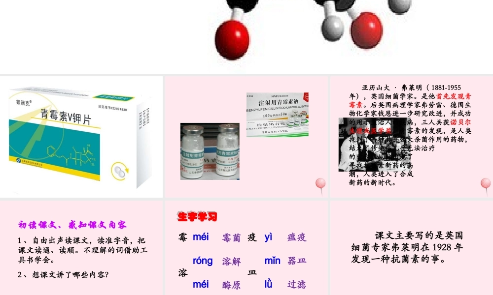 五年级语文下册《青霉素的发现》教学课件（简要参考） 教科版