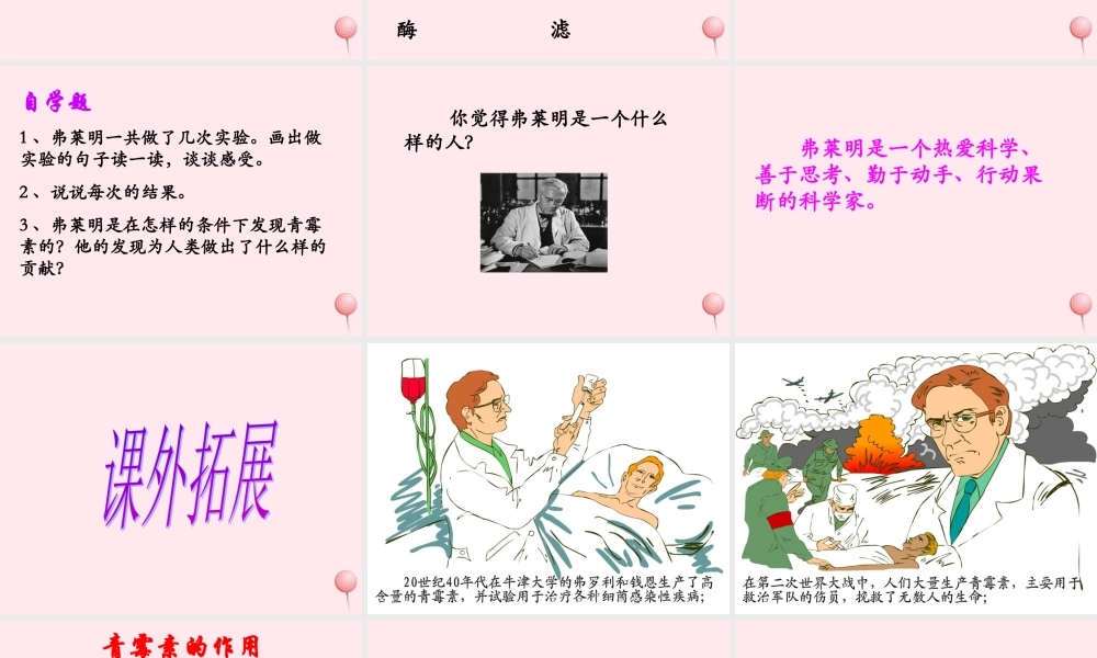 五年级语文下册《青霉素的发现》教学课件（简要参考） 教科版