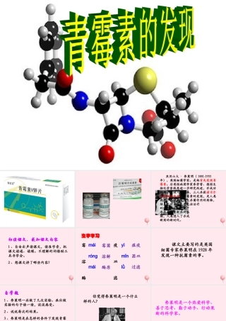 五年级语文下册《青霉素的发现》教学课件（简要参考） 教科版