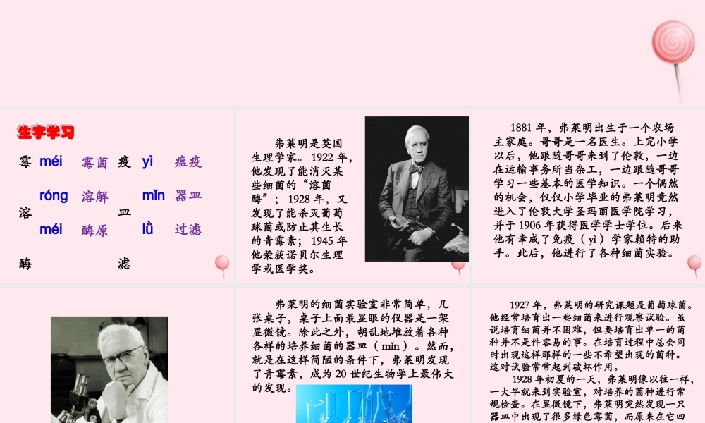 五年级语文下册《青霉素的发现》教学课件（详细解读） 教科版